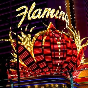 V E G A S vibes...  mystery box worth over !
$100.......
💋🩷fun ! festive !